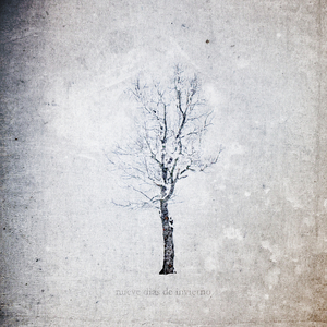 三级片狗与性胶
